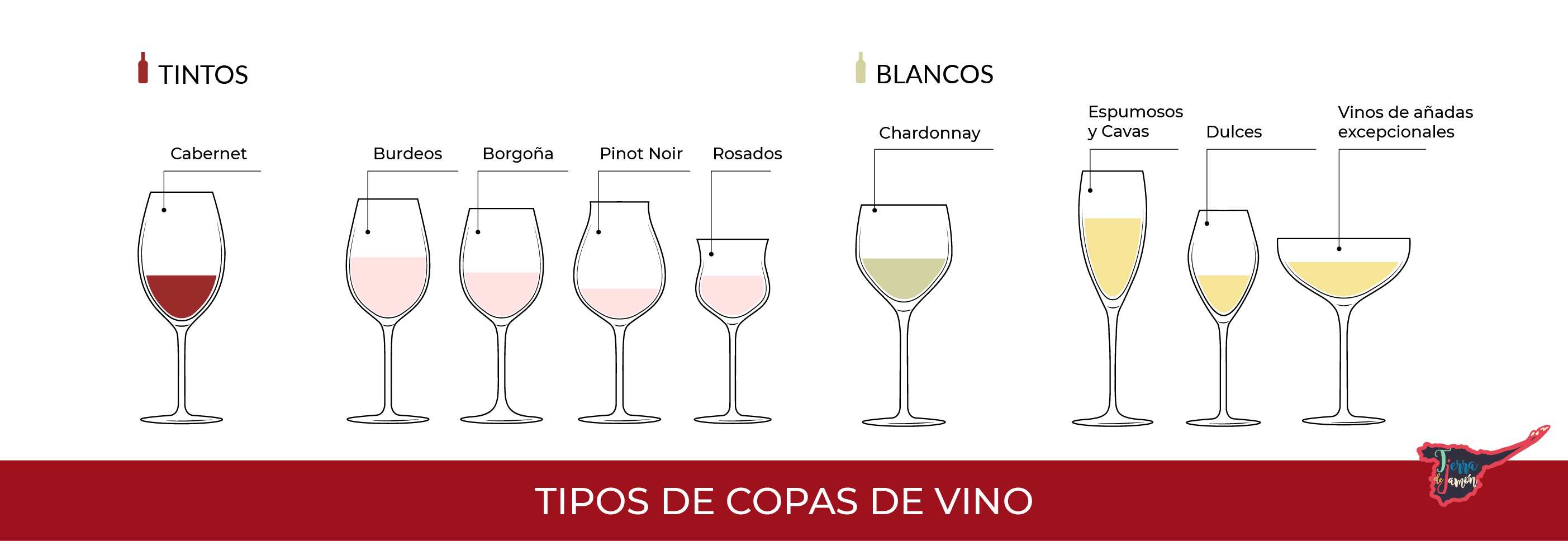 gráfico distintos tipos de copas de vino
